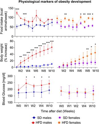 Short-term high-fat diet alters the mouse brain magnetic resonance imaging parameters consistently with neuroinflammation on males and metabolic rearrangements on females. A pre-clinical study with an optimized selection of linear mixed-effects models